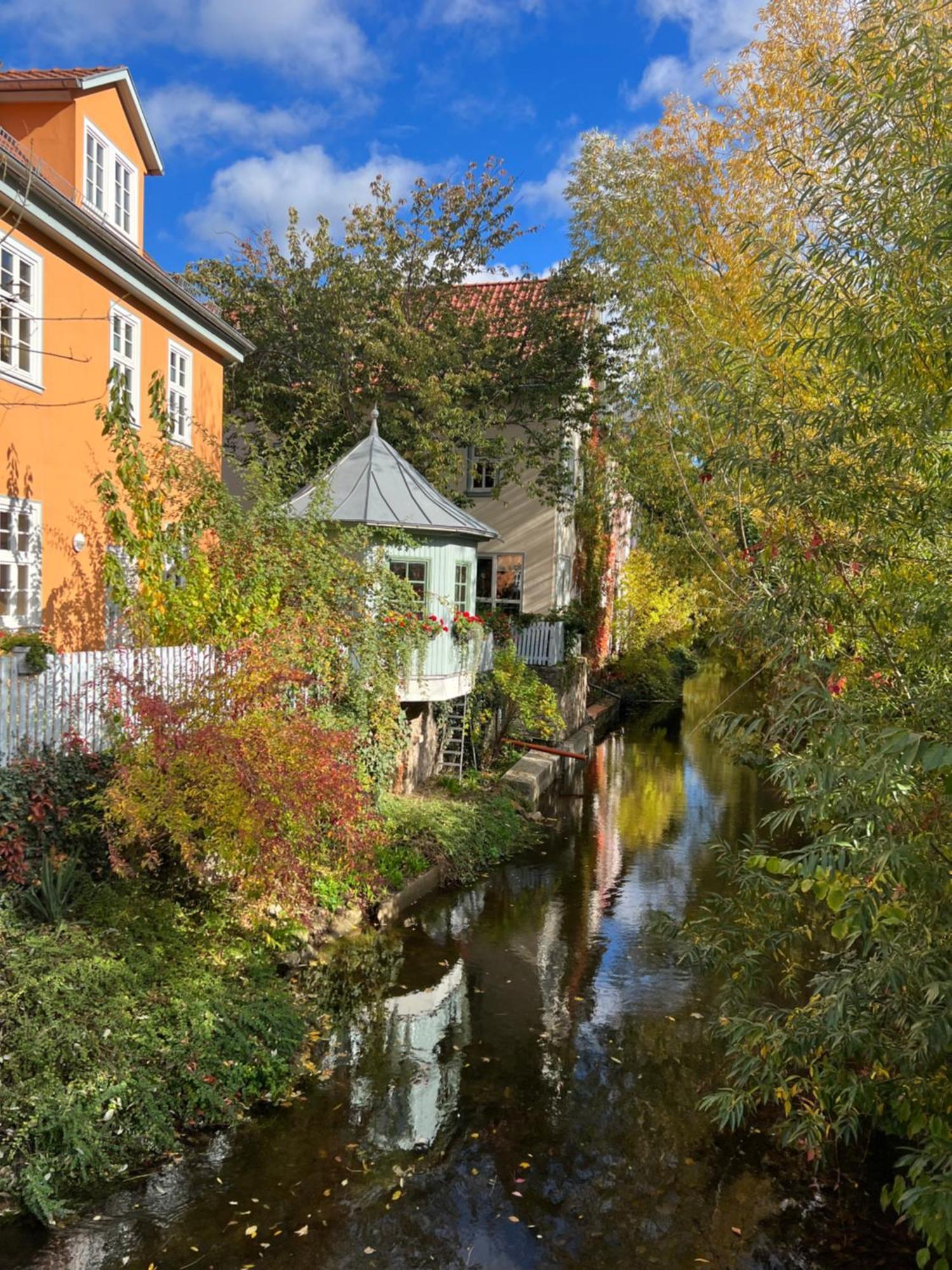 Ferienwohnung Schildblick Modernes Apartment Direkt In Der Altstadt Von Erfurt Nahe Der Kraemerbruecke - Beste Innenstadtlage المظهر الخارجي الصورة